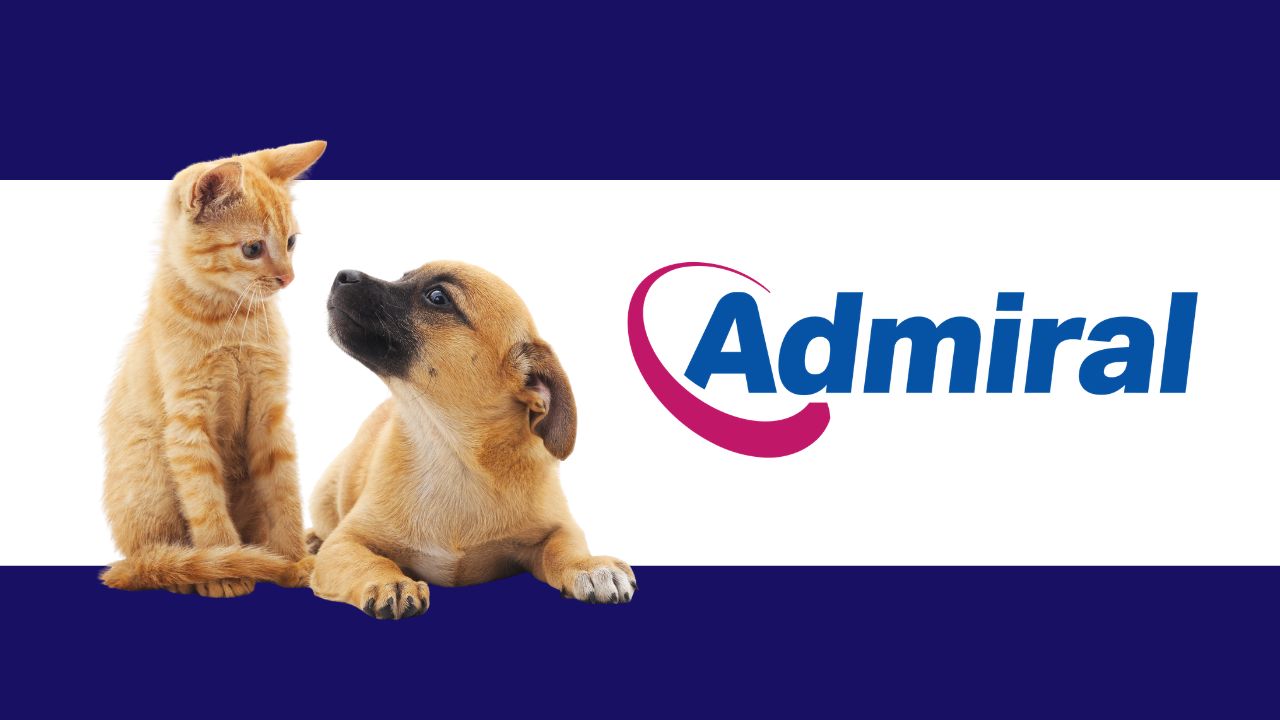 Admiral Pet Insurance Broadcast PR + Media Relations